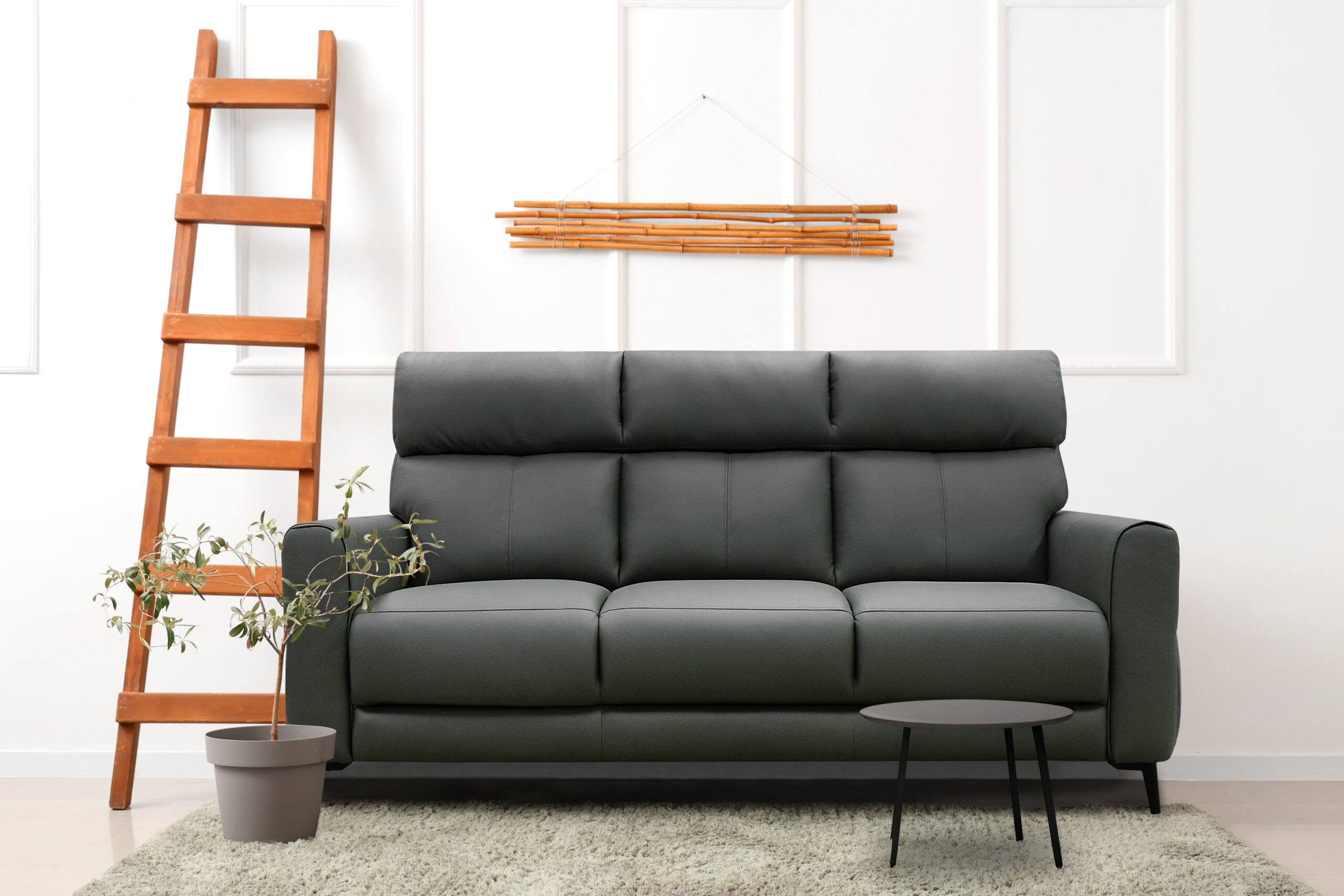 Interior,Of,Living,Room,With,Cozy,Sofa,,Ladder,And,Decorative