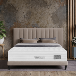 KK WORLD EDITION PARAGON III